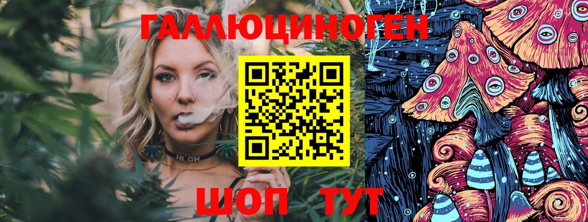 Псилоцибиновые грибы Cubensis Кулебаки